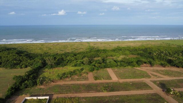 Punta-azul-1