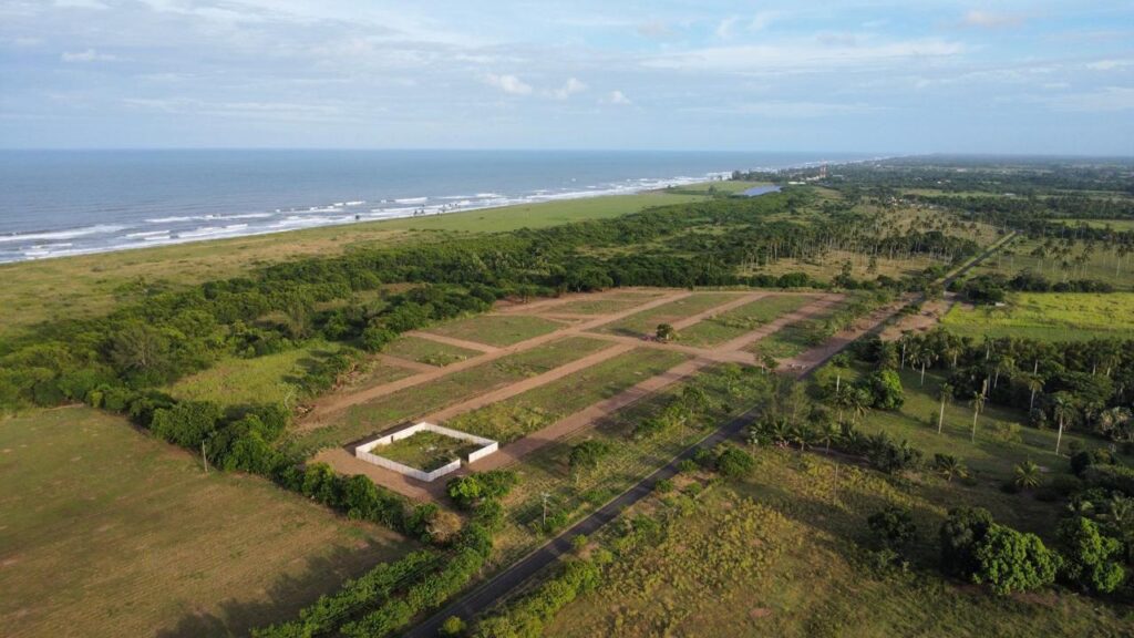 Punta-azul-4