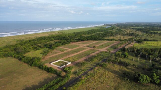 Punta-azul-4