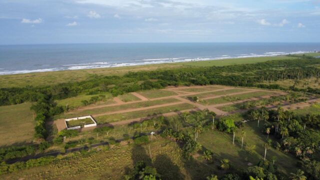 Punta-azul-6