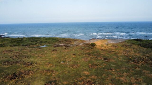 real-palmas-4